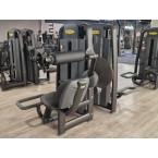 TECHNOGYM SELECTION PRO Maszyna na grzbiet (Lower Back) Używana/Regenerowana - Idealny stan